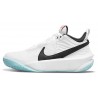 Баскетбольные Кроссовки Nike Team Hustle D 10 Basketbol CW6735-102