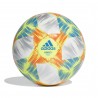 МЯЧ ФУТБОЛЬНЫЙ ADIDAS CONEXT19 PRAIA DN8634